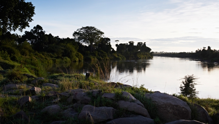 Singita Mara River Tented Camp - Blick auf de